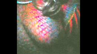 Amateur