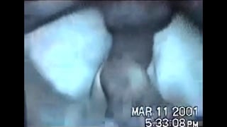Bachelor Party Orgy