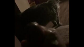 BBC Explodes