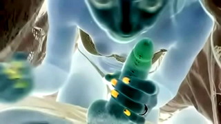 Bg Blowjob