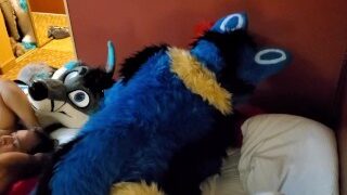 Brff Murrsuit Party / Orgy Breeding And All Kinds Of Furry Sex