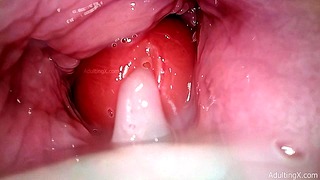 Camera In Vagina, Cervix POV, “Creampie”
