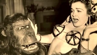 Dark Lantern Entertainment Presents ‘Vintage Petmania’