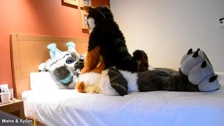 Murrsuit Wild Sex – Pilot Video – Maho & Xytan