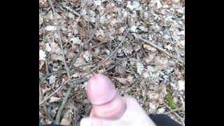 Outdoor Handjob