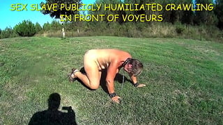 Suzi Public Humiliation
