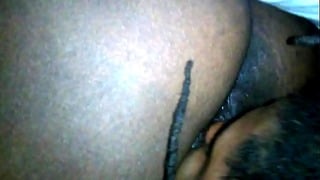 Two Chocolate Ebonys