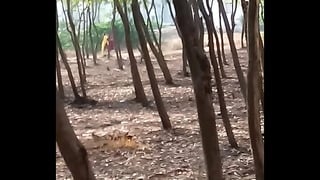 Vaghari Aunty Outdoor 5