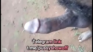 Watch My Penis Urinating Public