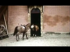 Vintage French Adultery